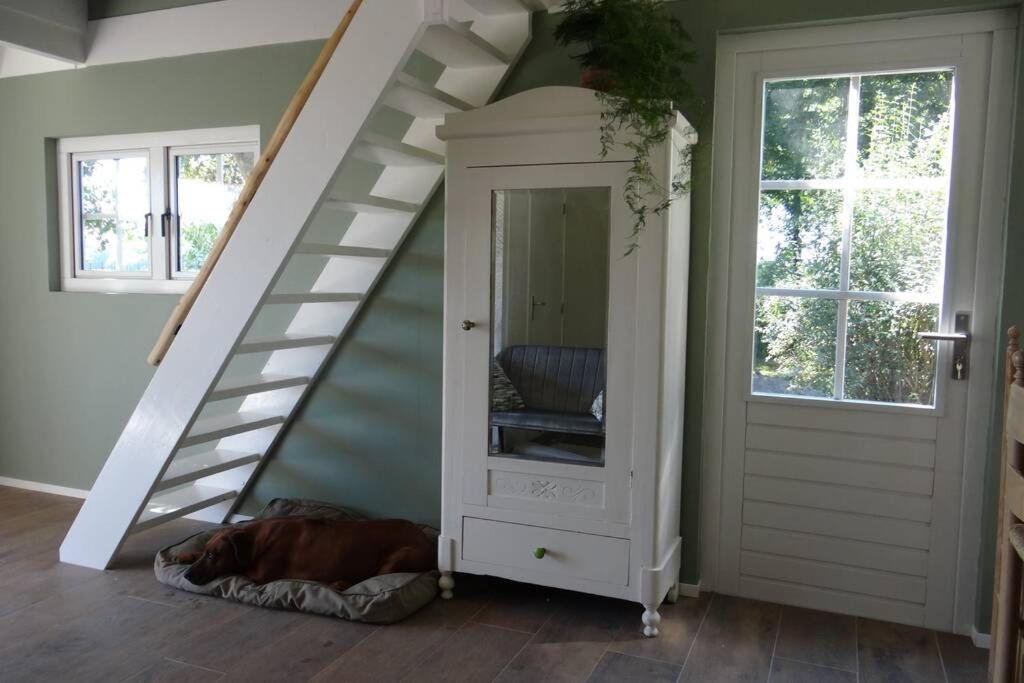 Ruinen The Green Cottage מראה חיצוני תמונה